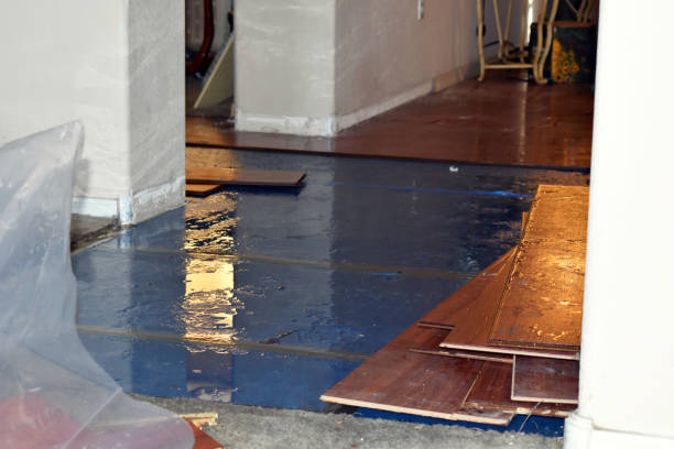 Professional Burst Pipe Cleanup technician working in Allen, MI