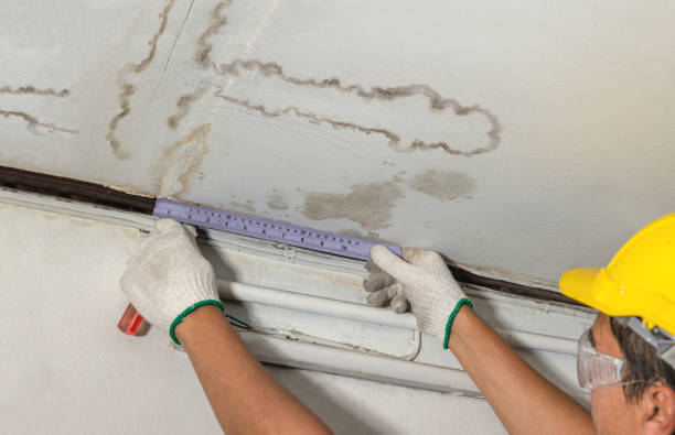 Reliable Burst Pipe Cleanup contractor in Allen, MI by Water Damage Irwin